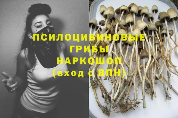 спиды Семикаракорск