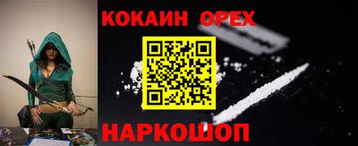 индика Кингисепп