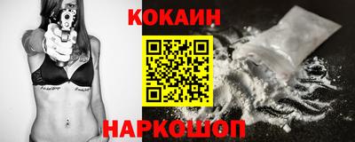 индика Кингисепп