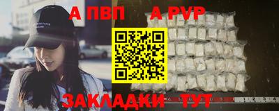 индика Кингисепп