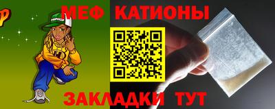 индика Кингисепп