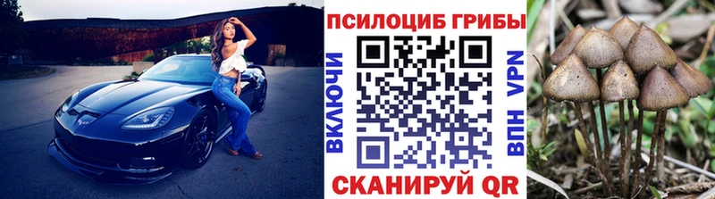 shop как зайти  Вичуга  Псилоцибиновые грибы Psilocybe 