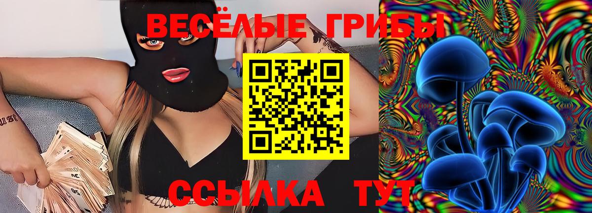 Галлюциногенные грибы ЛСД  Вход с VPN  Вичуга 